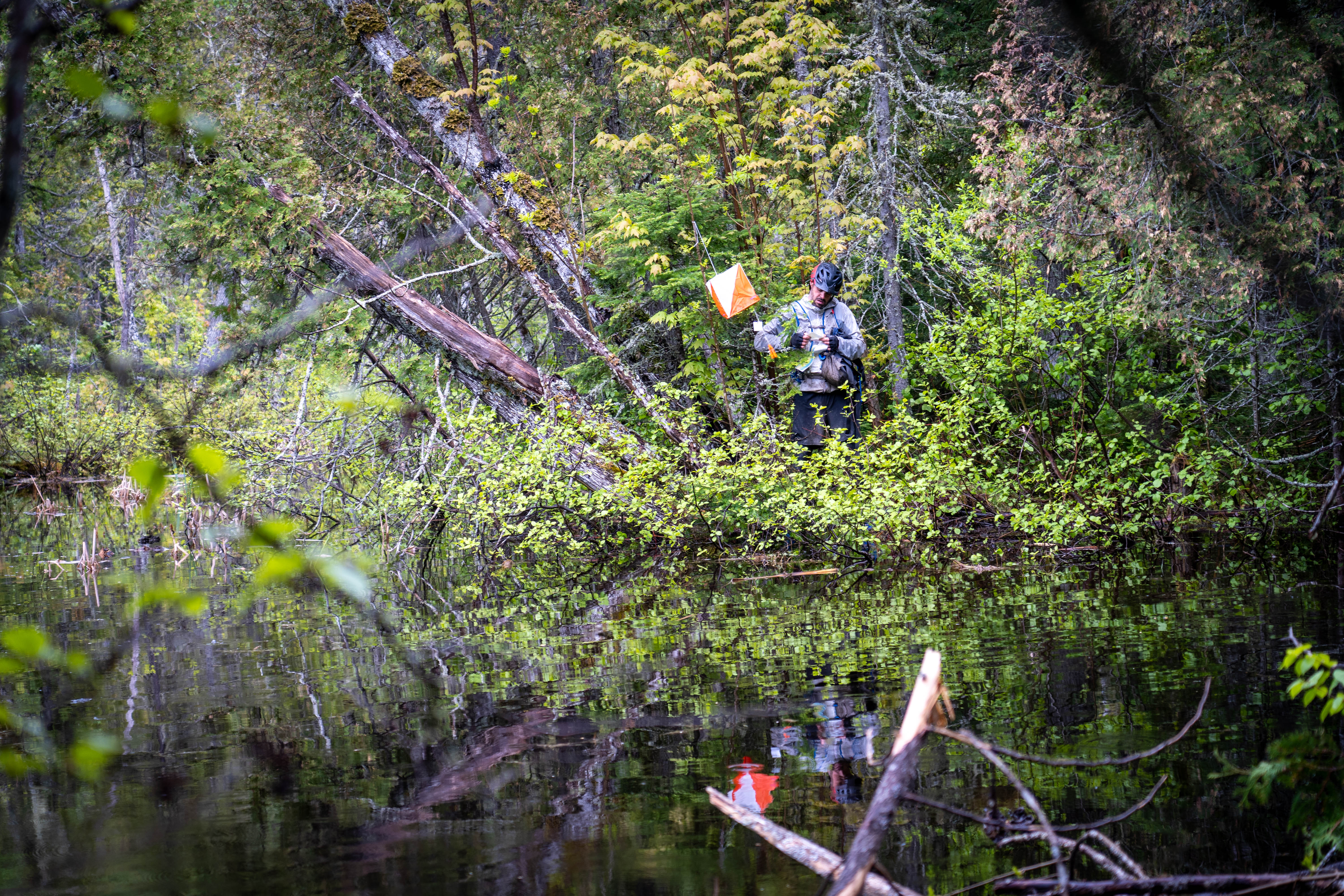 Course d'aventure St-Laurent
